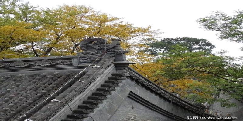 潭柘寺有算卦的吗(2019北京最强赏叶攻略)
