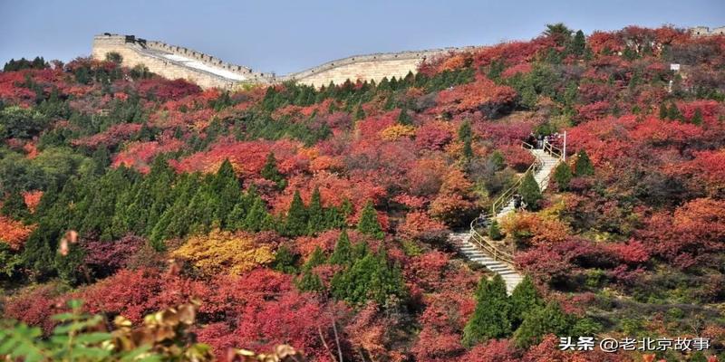 潭柘寺有算卦的吗(2019北京最强赏叶攻略)