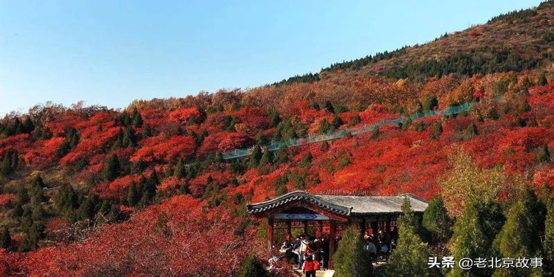 潭柘寺有算卦的吗(2019北京最强赏叶攻略)