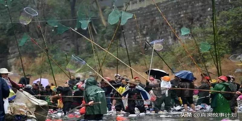 燕郊算卦准的(中国人迷信起来有多野)