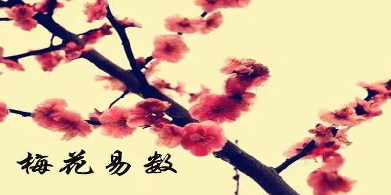 王寅梅花易数教学(十分钟学会梅花易数先天卦)