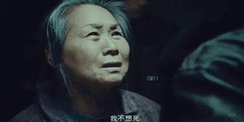 登封有个算卦的是半夜去算(“百亿票房老奶奶”竟然是咱们河南鲁山人)