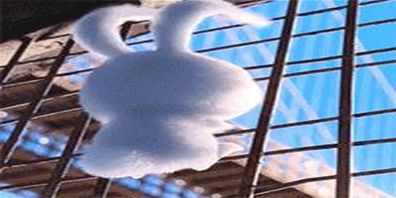 直播算卦后我爆红全星际(“八本柔情小说”听着感情曲)