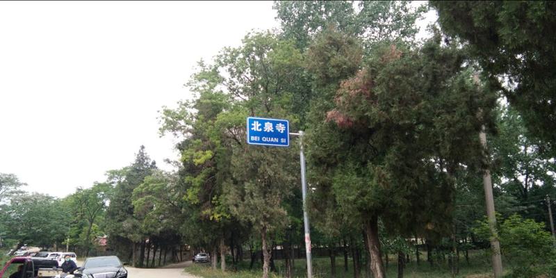 确山算卦最厉害的(春天的北泉寺)