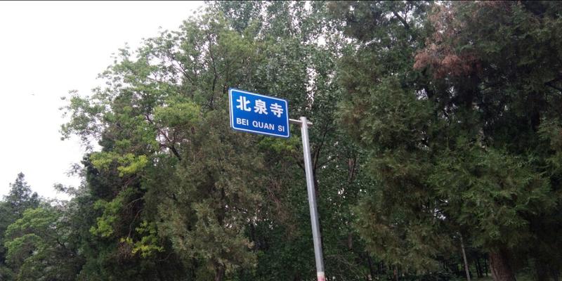 确山算卦最厉害的(春天的北泉寺)