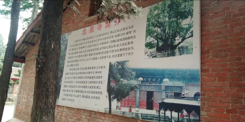 确山算卦最厉害的(春天的北泉寺)