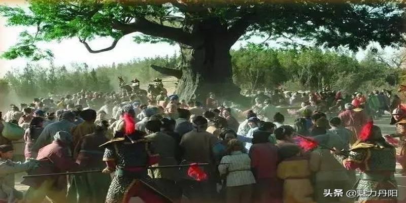 磁县朱庄算卦(菏泽市开发区史话之十八)