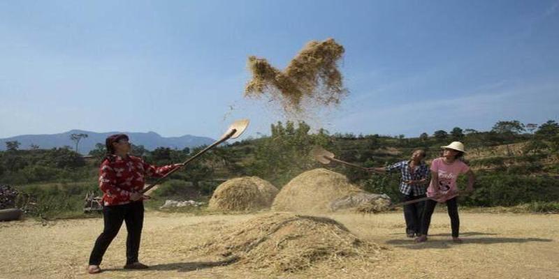算卦不给自己算的那句话是什么(豫北农村民国时期奇案)