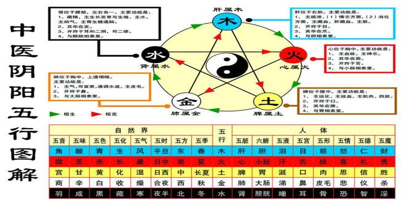 算卦中的八字指的都是什么(八字中的地支揭示了地气运动的规律)