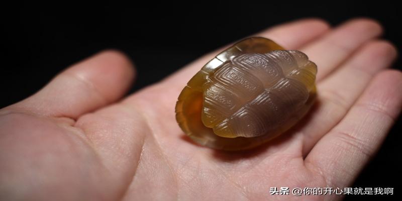 算卦为什么用乌龟壳(古代卜卦用龟壳)