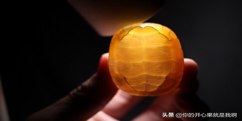 算卦为什么用乌龟壳(古代卜卦用龟壳)