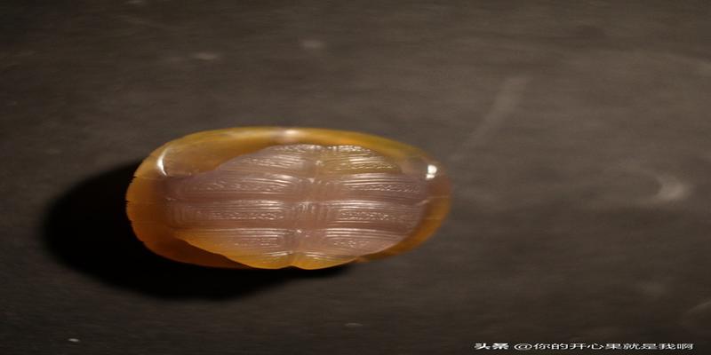 算卦为什么用乌龟壳(古代卜卦用龟壳)