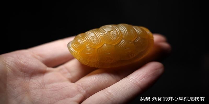 算卦为什么用乌龟壳(古代卜卦用龟壳)