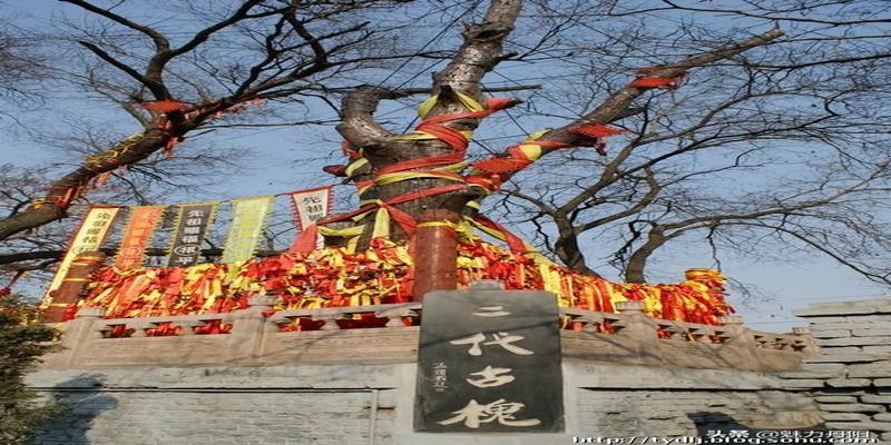 算卦大师山东菏泽鄄城(菏泽市开发区史话之十八)