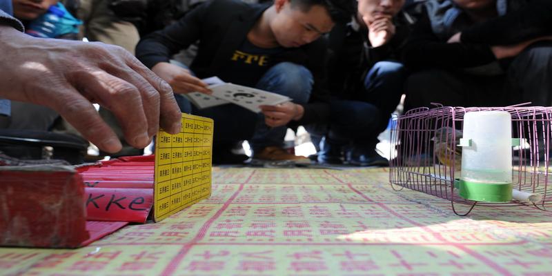 算卦好话怎么说(“神鸟”算命街头行骗上当者多是老人)