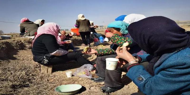 算卦常用术语(他们是中国最神秘的“吉普赛人”)