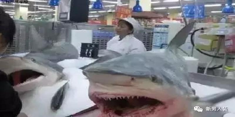 算卦常用语有哪些(天真的老外被中国哪些现象吓傻了)