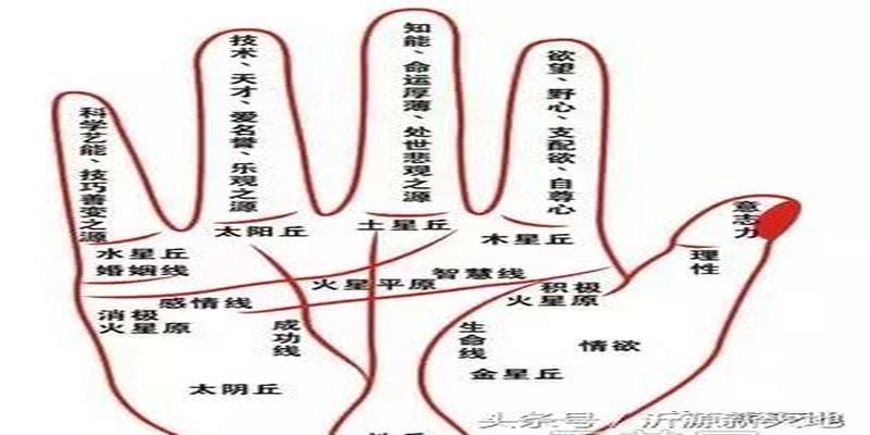 生日怎么算卦(沂源算命最准的10位大师)