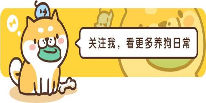 算卦找猫靠谱吗(找猫玄学的“剪刀大法”)