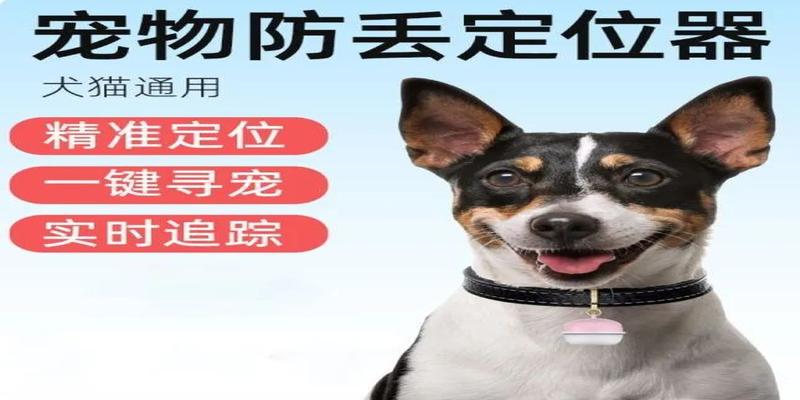 算卦找猫靠谱吗(找猫玄学的“剪刀大法”)