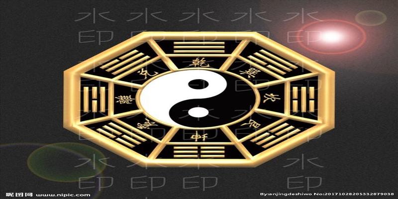 算卦用的龟壳是什么龟(神龟负洛书献伏羲是因龟壳占卜)
