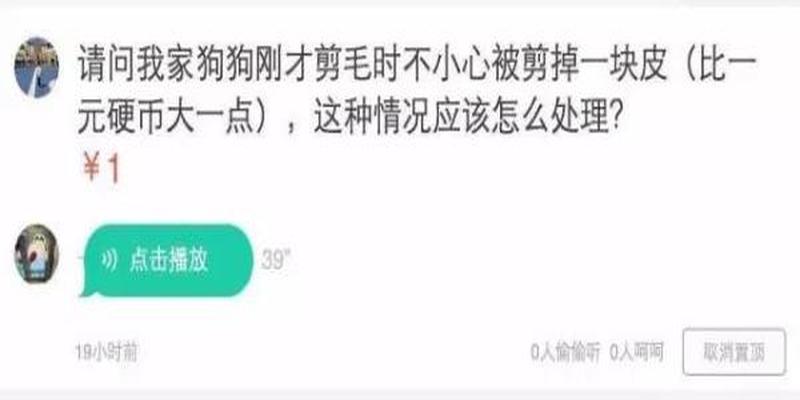 算卦的乌龟壳是什么龟(龟壳为啥这么硬)