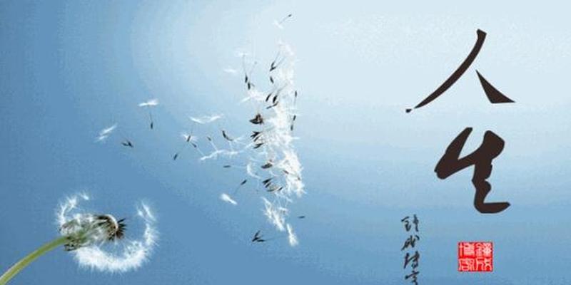 算卦会反噬自己吗(不管你随喜多少钱)