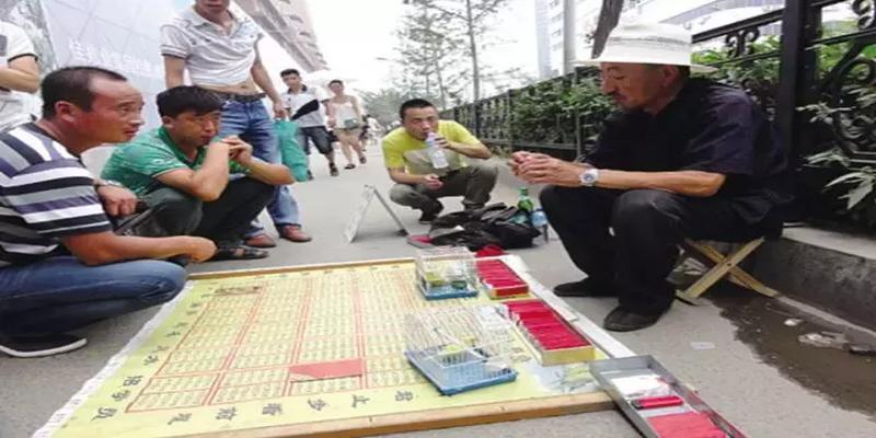 算卦看日子吗(你相信算命吗)