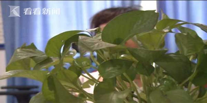 算卦能看出来打过胎吗(“你脸上有灾)