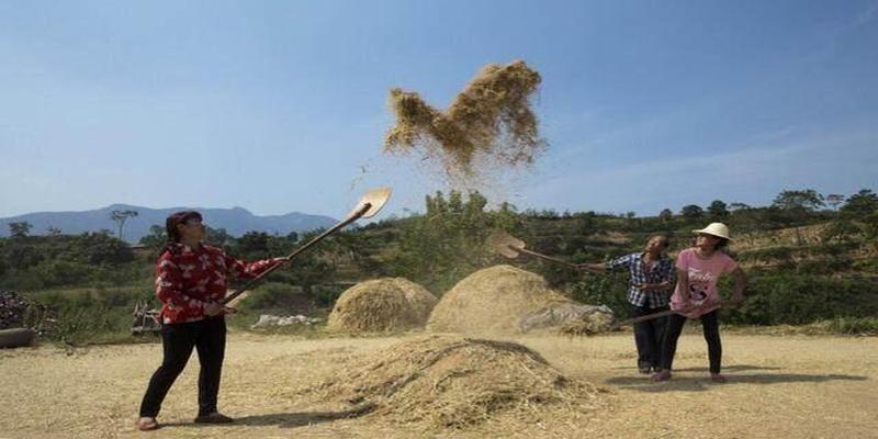 算卦说房子不好怎么办(豫北农村民国时期奇案)