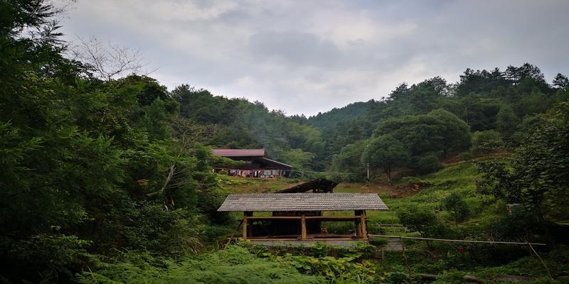 算卦说有喜事通常是指(大学生写家史)