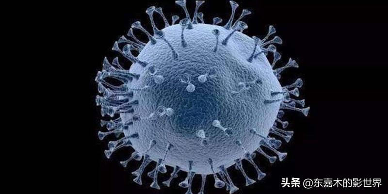 算卦说考试能过可信吗(欧洲著名预言家诺查丹玛斯预言)