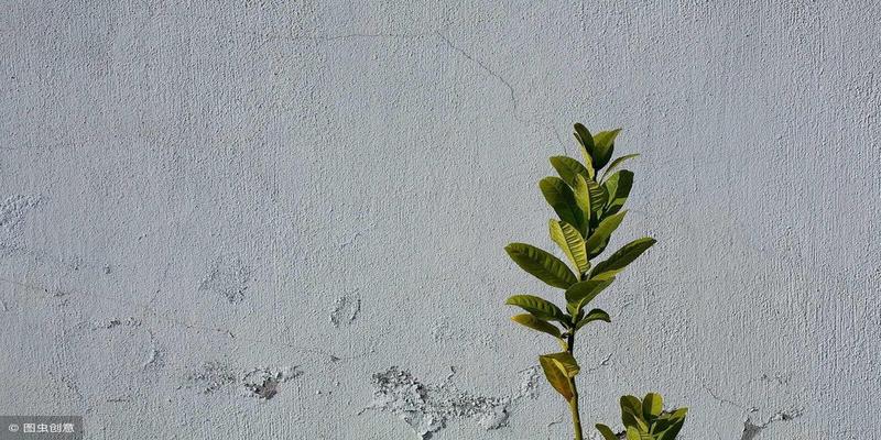 算卦走马星什么意思(三十种古代趣味诗歌)