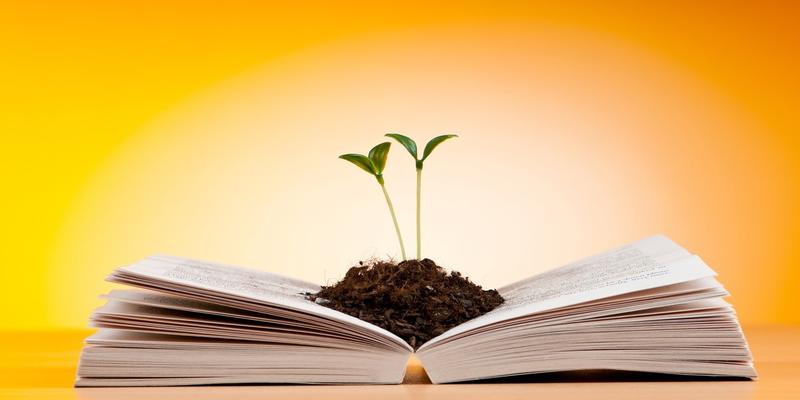 算卦都看哪些方面(算命到底准不准)