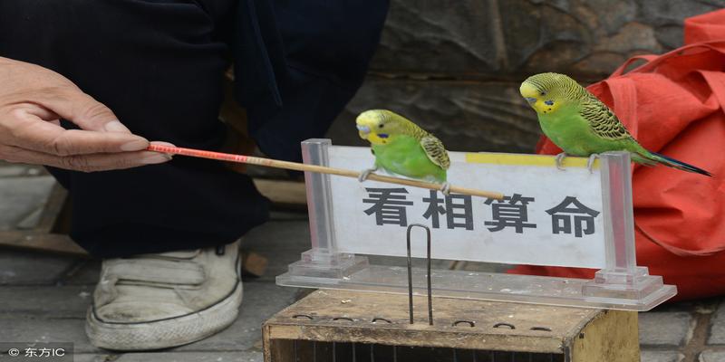算卦骗财骗色(“天眼大师”谎称要给外企白领女子补阳气)
