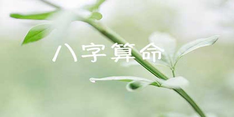 网上算卦最准确免费(免费算命八字算终身)