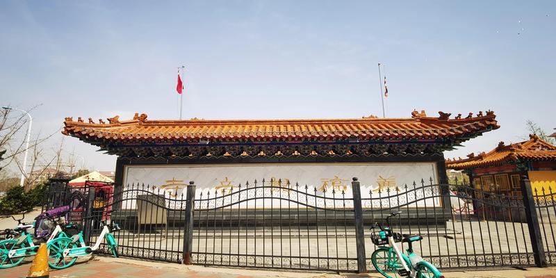 荐福观音寺算卦四姨(天津荐福观音寺有哪三宗宝)