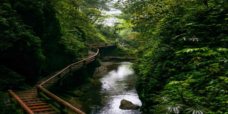 青城山算卦最准的道长(“问道青城山”)