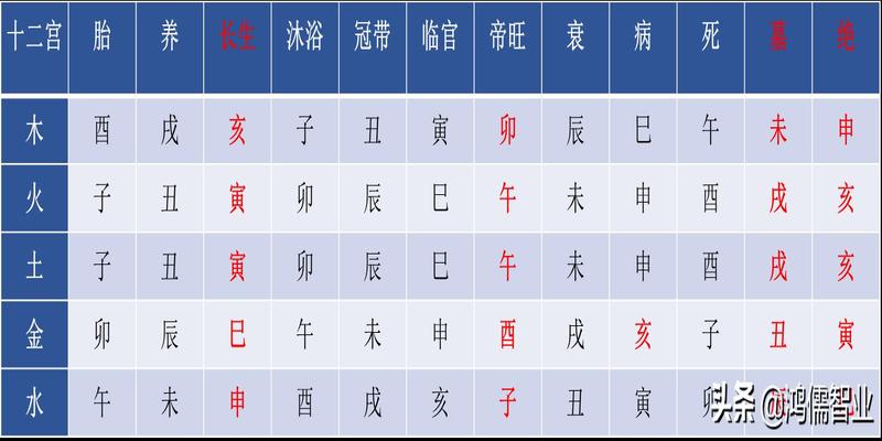 八字十二宫位详解查询(五行寄生十二宫模型)