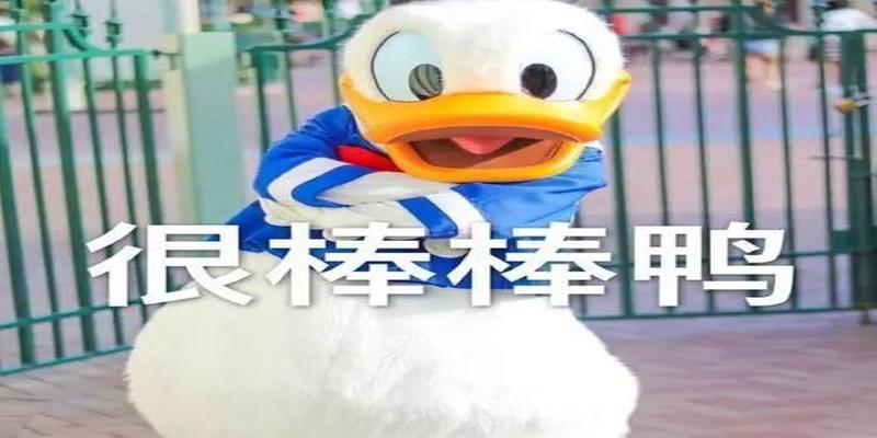 八字发卡用法(浪姐一公舞台太炸了)