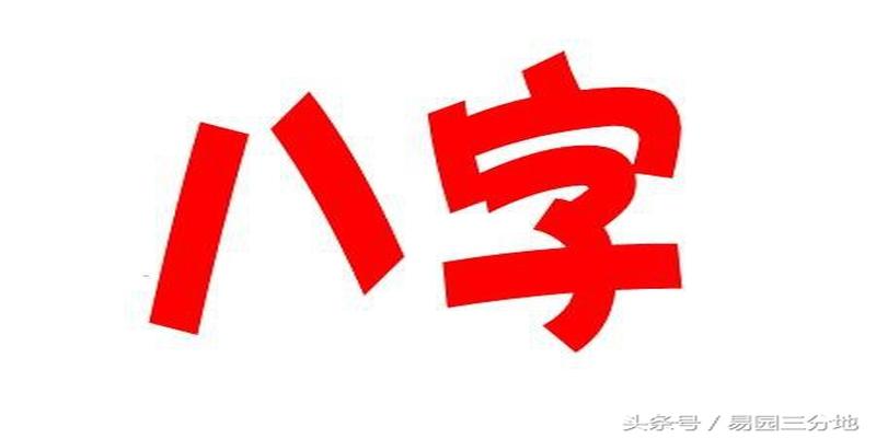 八字哪一柱看事业(八字算命不神秘)