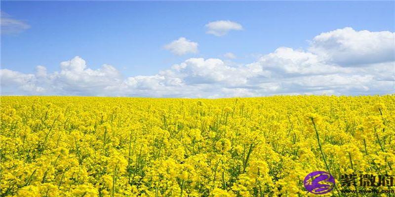 农历二十二出生的人的命运解析