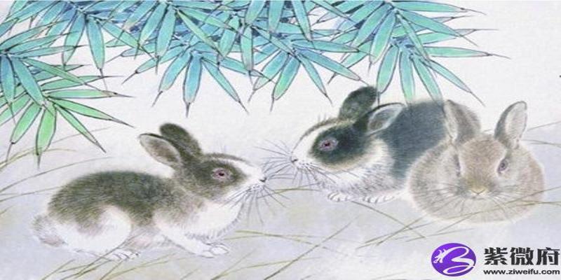 生肖与颜色的搭配(生肖忌穿颜色)