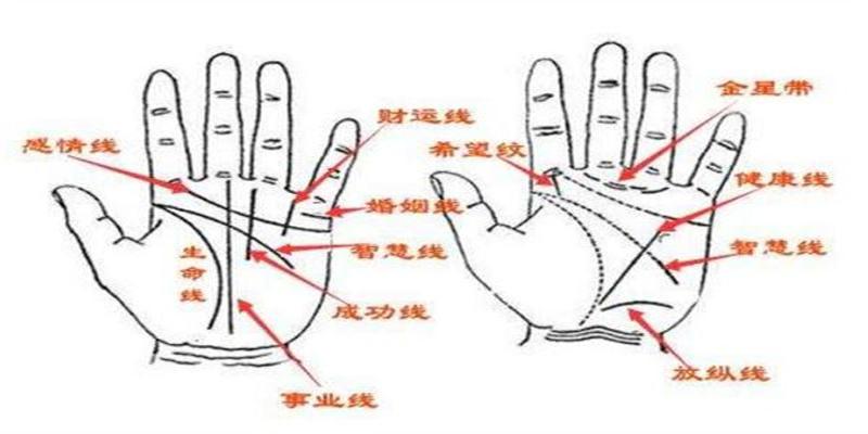 看手相算命是怎么回事(算命和看手相哪个更准一些)