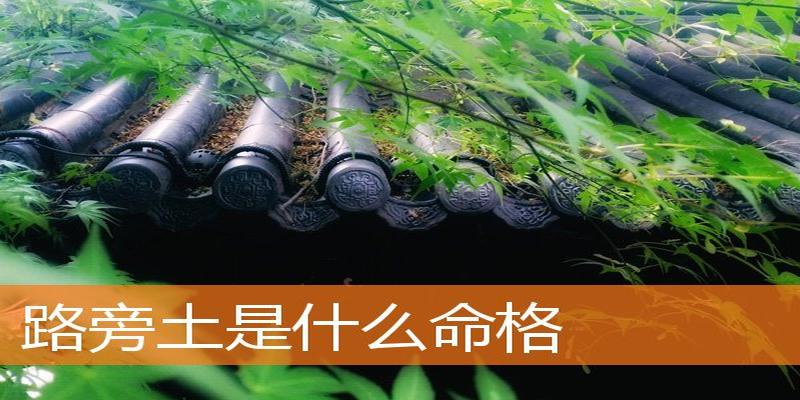 山头火命的人姻缘怎样(哪年出生是火命 火命的年份)