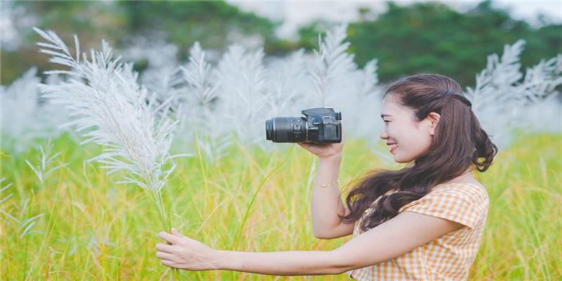 1980几月女天生好姻缘(1980年1月份出生属啥)