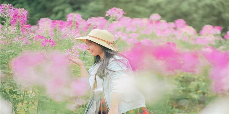 1980几月女天生好姻缘(1980年1月份出生属啥)