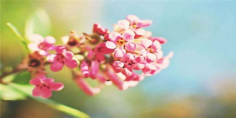 癸水男性的性格(癸水男性格)