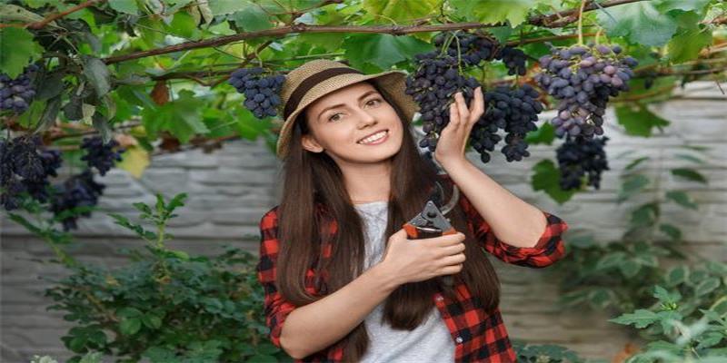 2016年几月生的女人运气好(出生日期看婚姻和财运)