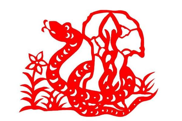 八字土多预示着什么样的命运?(五行土多是土命吗)